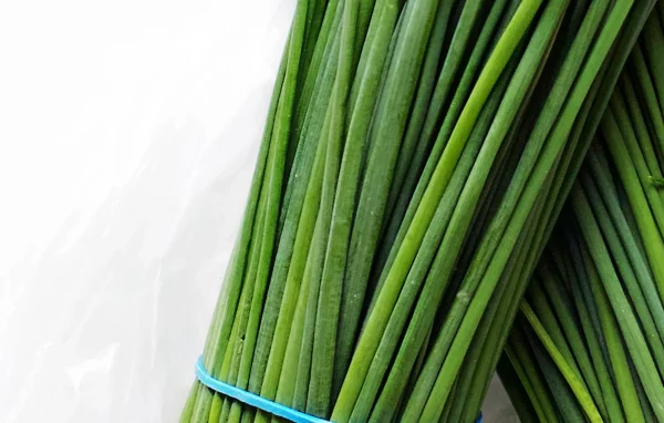 chives